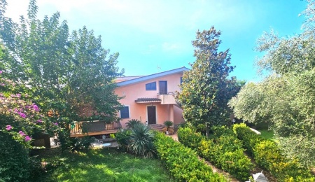 Via Pausania 20
